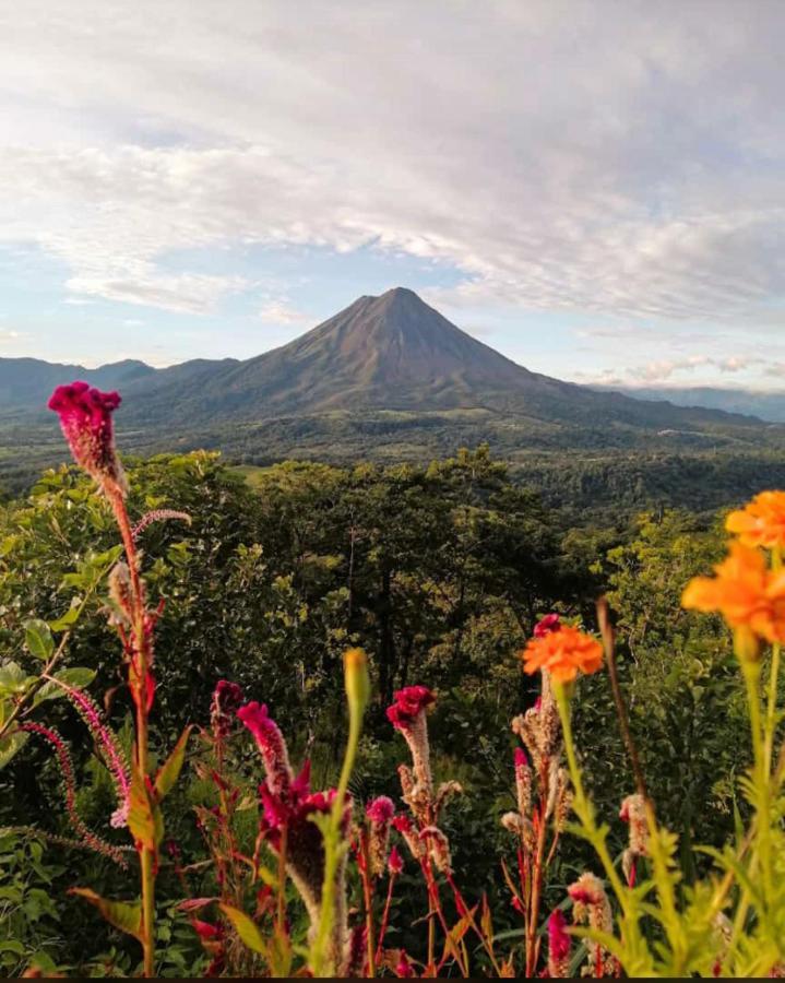 Las Pavitas Cottages La Fortuna Екстериор снимка